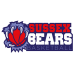 SUSSEX BEARS Team Logo